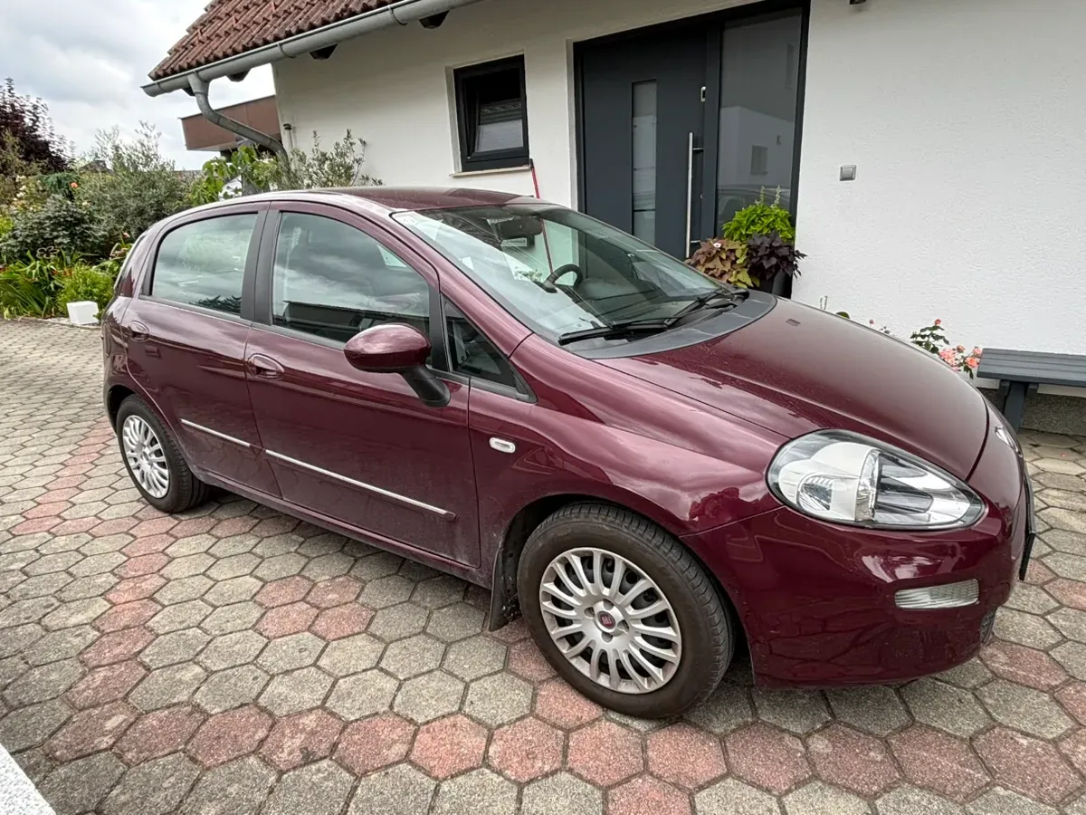 Fiat Punto 2013 photo 2