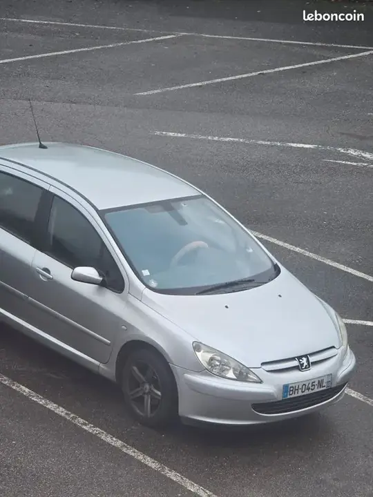 Peugeot 307 2004 photo 2
