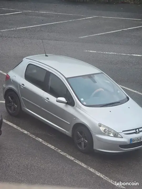 Peugeot 307