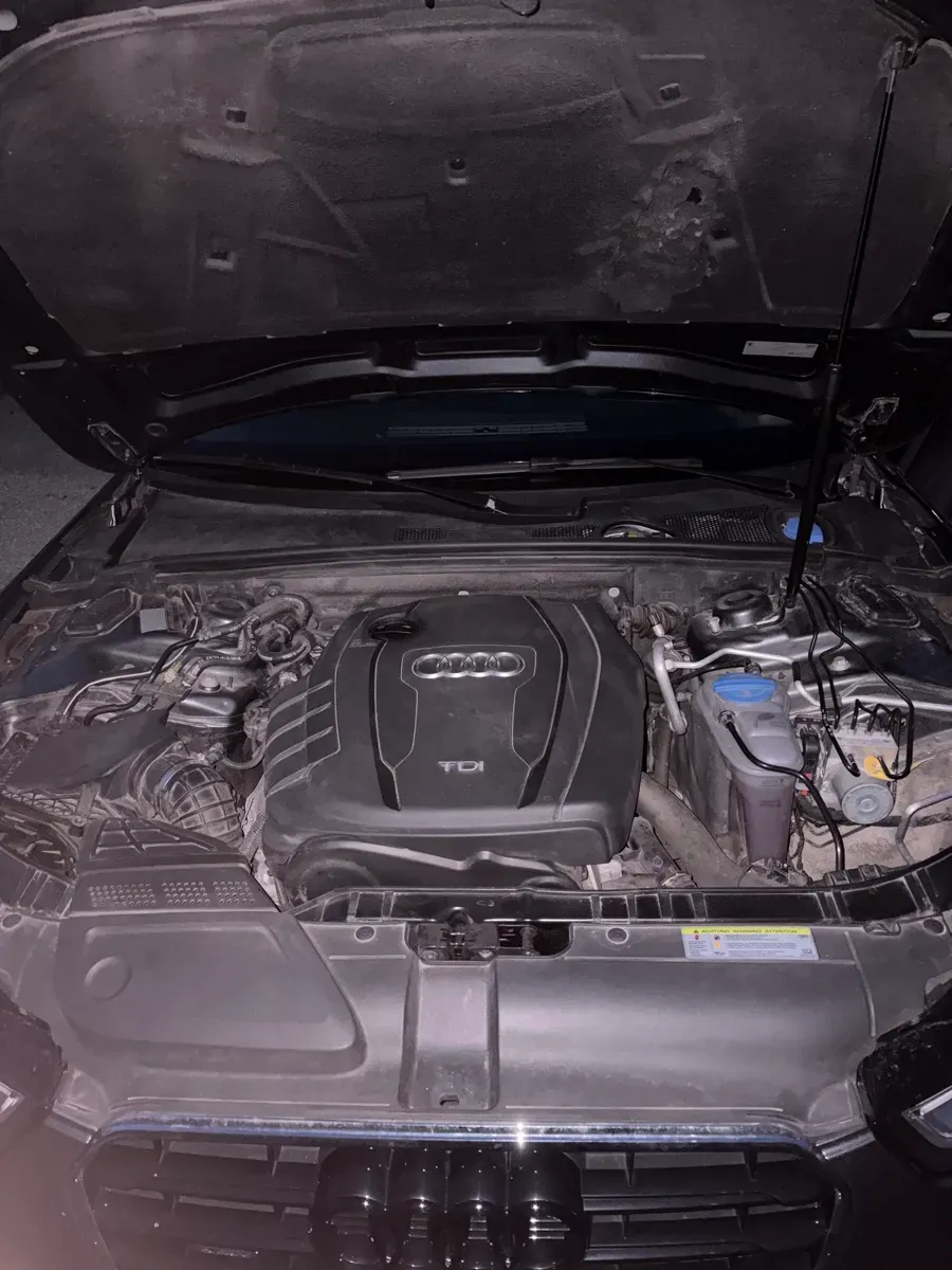 Audi A5 2015 photo 3