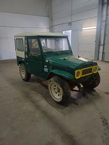 Toyota Delta Mini Cruiser