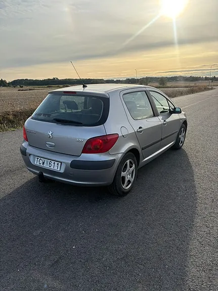 Peugeot 307 2002 photo 3