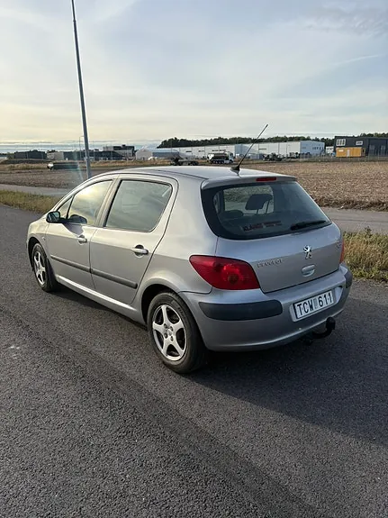 Peugeot 307 2002 photo 4