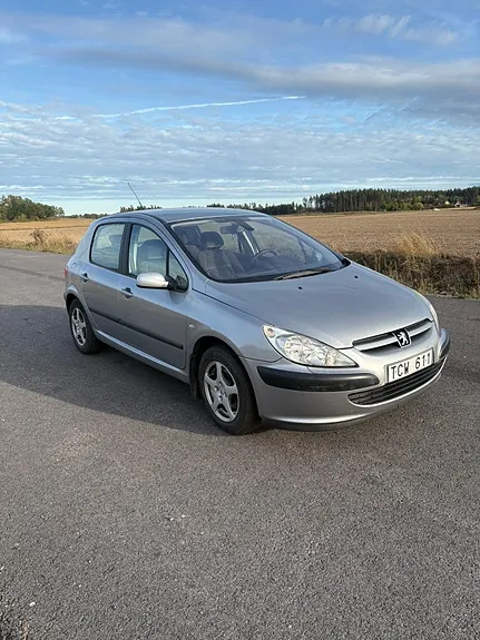 Peugeot 307 2002 photo 2