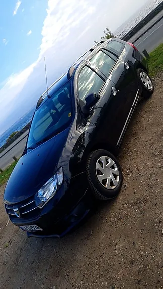 Dacia Logan 2014 photo 3