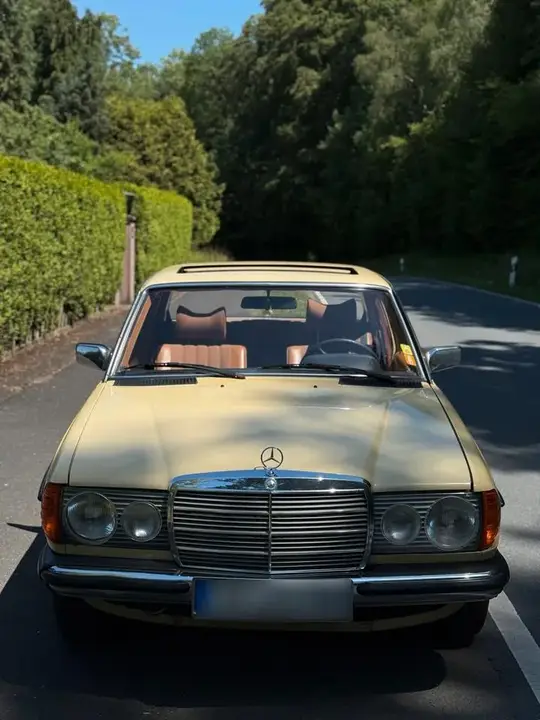 Mercedes-Benz W123