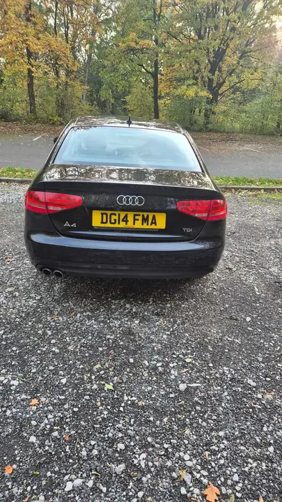 Audi A4 2014 photo 5
