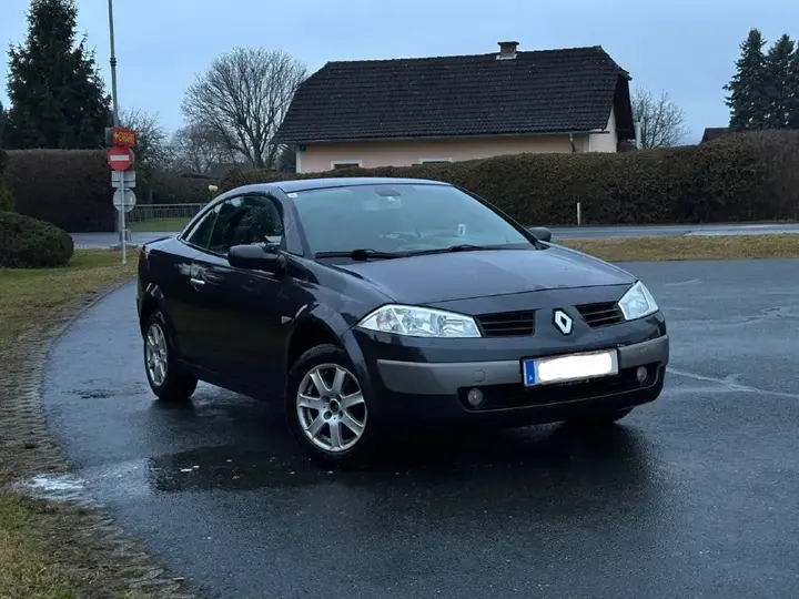 Renault Mégane 2004 photo 2