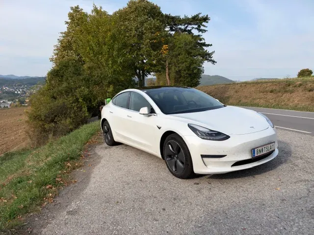 Tesla Model 3 2020 photo 3