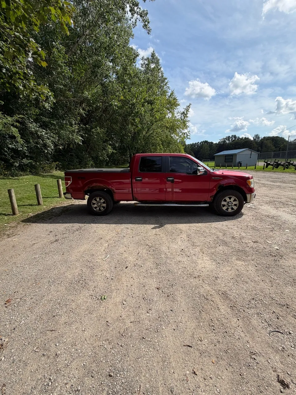 Ford F-150 2010 photo 3