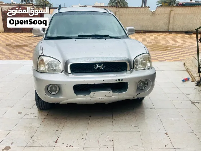 Hyundai Santa Fe 2005 photo 5