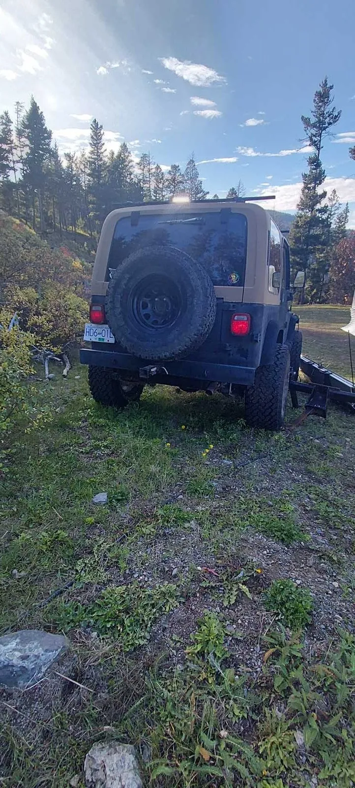 Jeep Wrangler 1991 photo 3