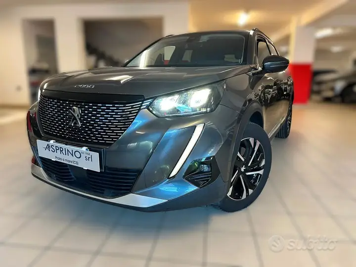 Peugeot 2008 2021 photo 2