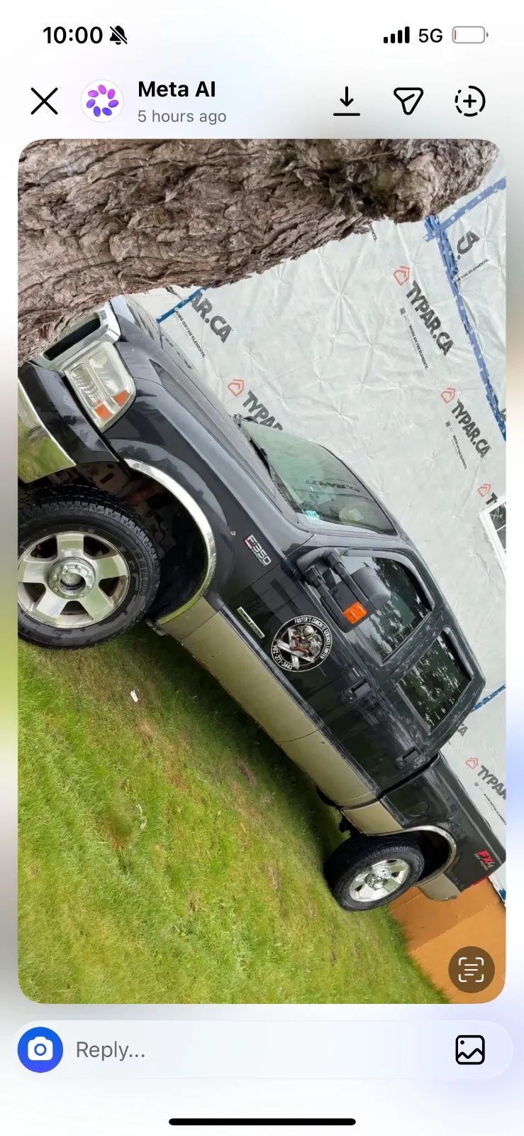 Ford F350 2004 photo 3
