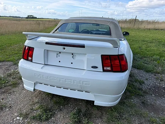 Ford Mustang 2001 photo 2