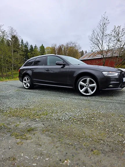 Audi A4 2014 photo 2
