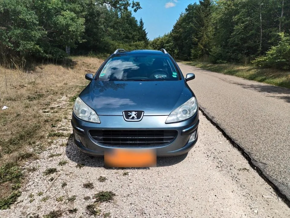 Peugeot 407