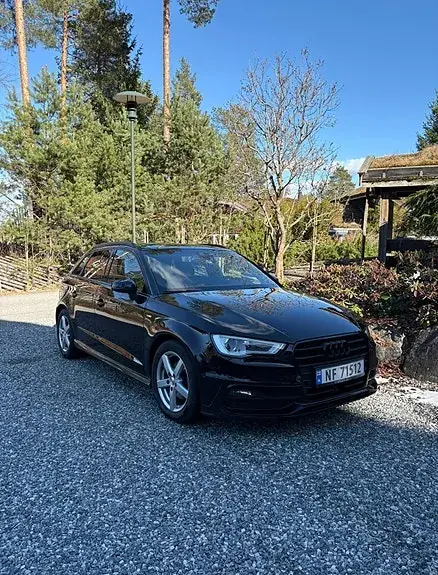 Audi A3 2015 photo 2