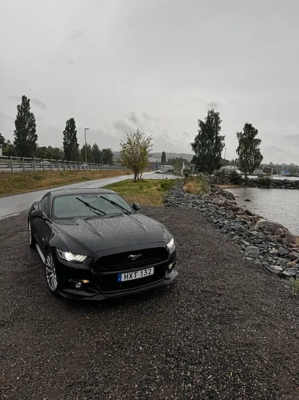Ford Mustang 2015 photo 4