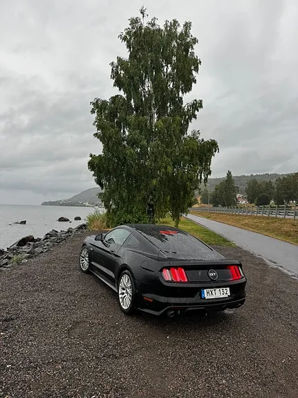 Ford Mustang 2015 photo 3