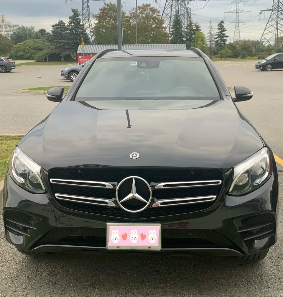 Mercedes-Benz Glc300 2019 photo 2