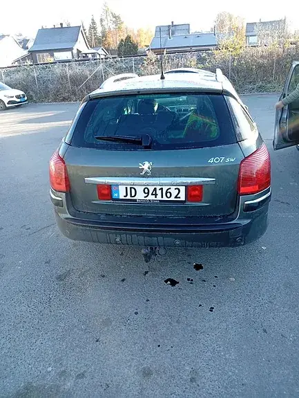 Peugeot 407 2007 photo 4