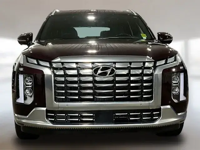 Hyundai Palisade 2024 photo 2