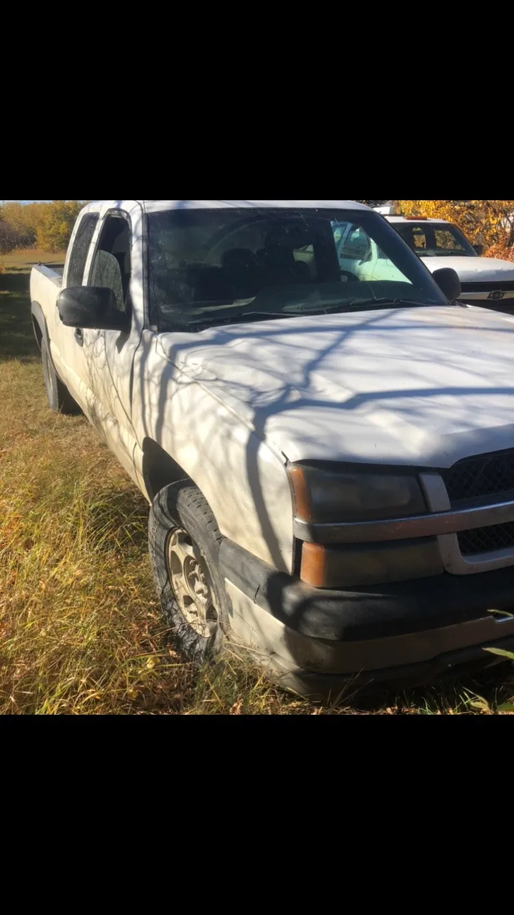 Chevrolet Silverado 1500 2005 photo 2