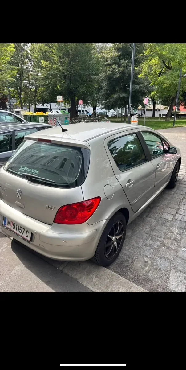 Peugeot 307 2006 photo 3