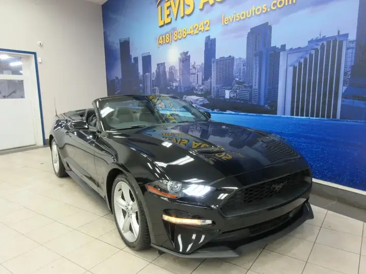 Ford Mustang 2019 photo 3