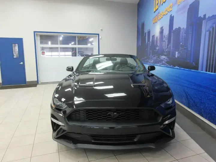 Ford Mustang 2019 photo 4