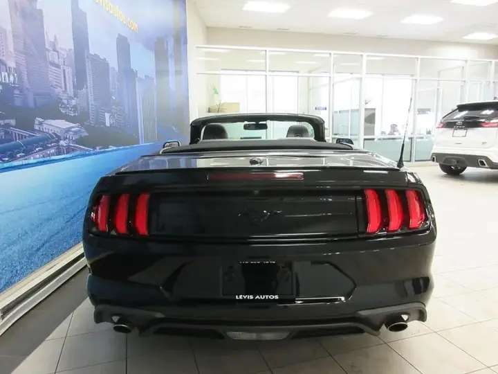 Ford Mustang 2019 photo 5