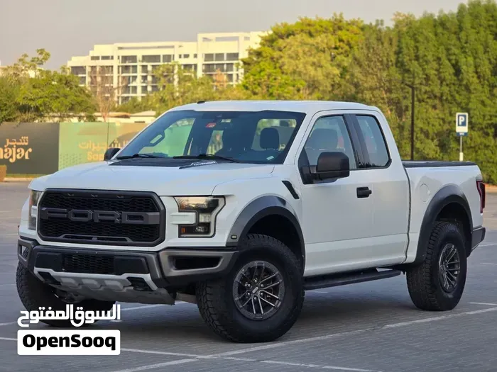 Ford F-150 2019 photo 3