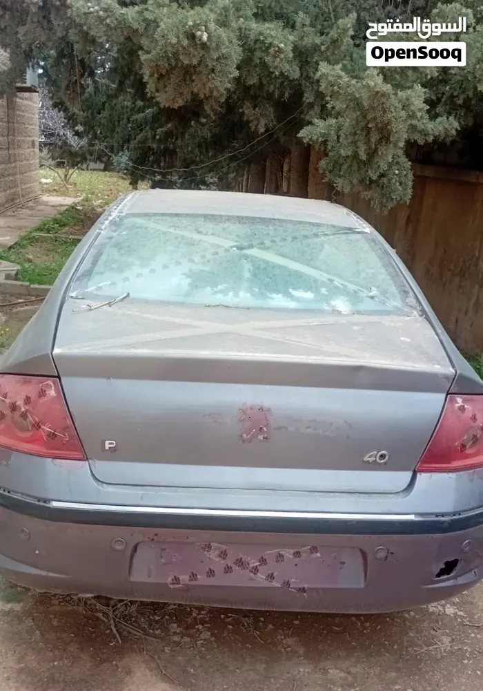 Peugeot 407 2005 photo 2
