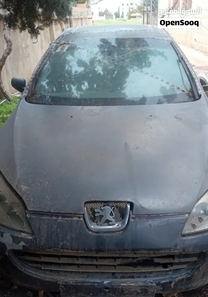 Peugeot 407 2005 photo 4