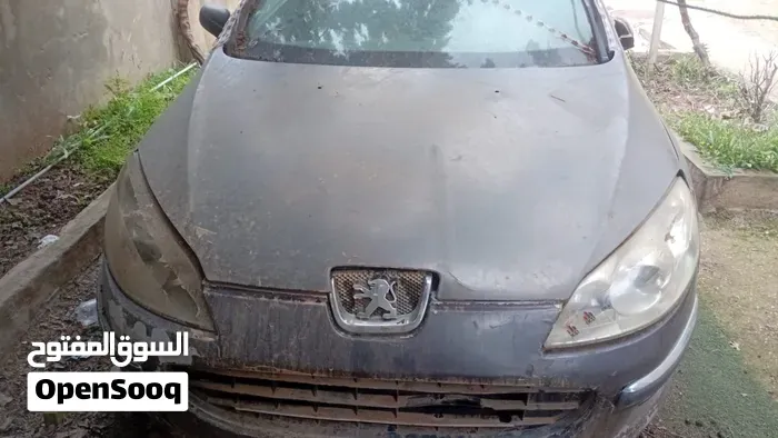 Peugeot 407 2005 photo 3