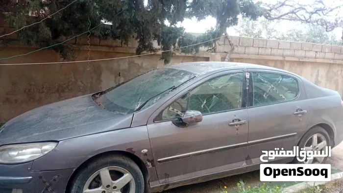 Peugeot 407
