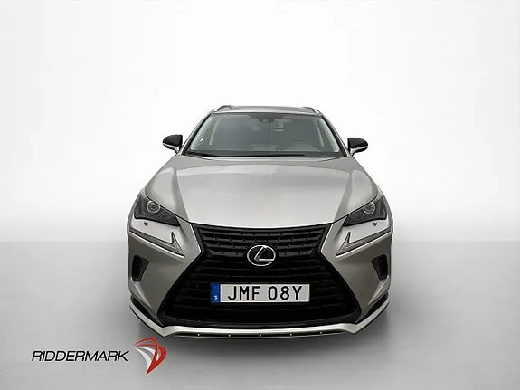 Lexus Nx300H 2021 photo 2