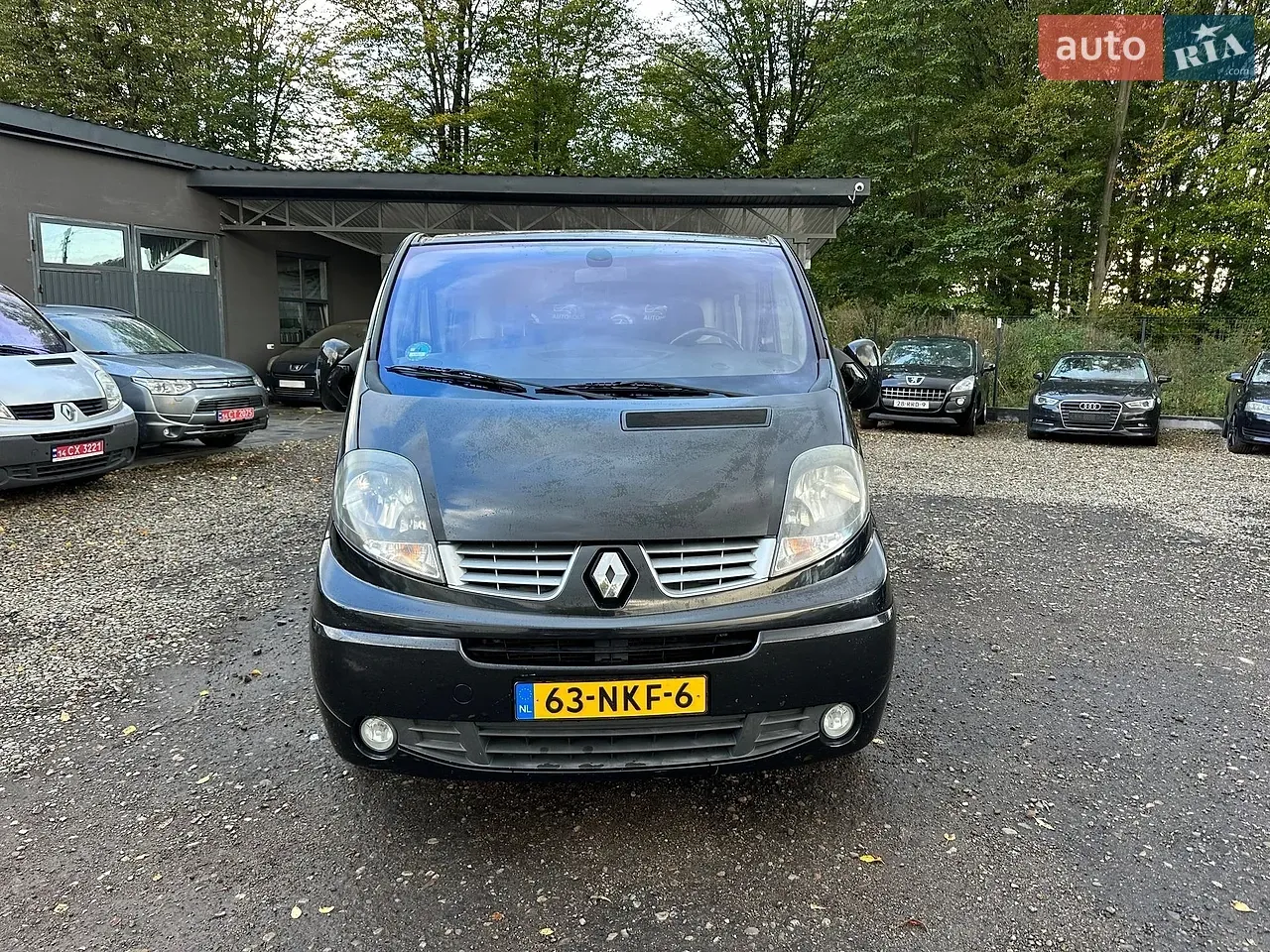 Renault Trafic 2013 photo 5
