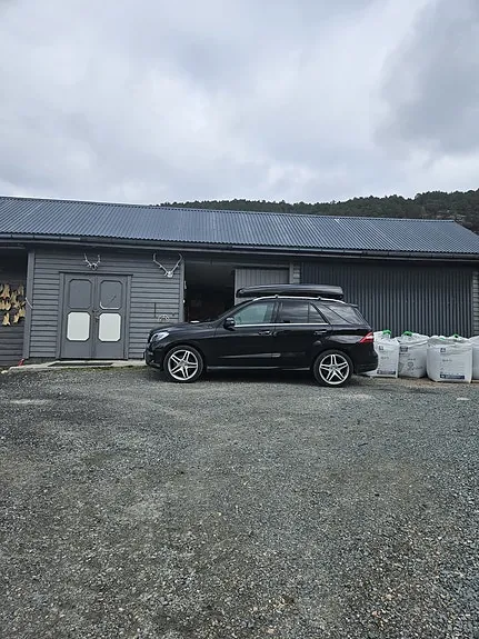 Mercedes-Benz Ml250