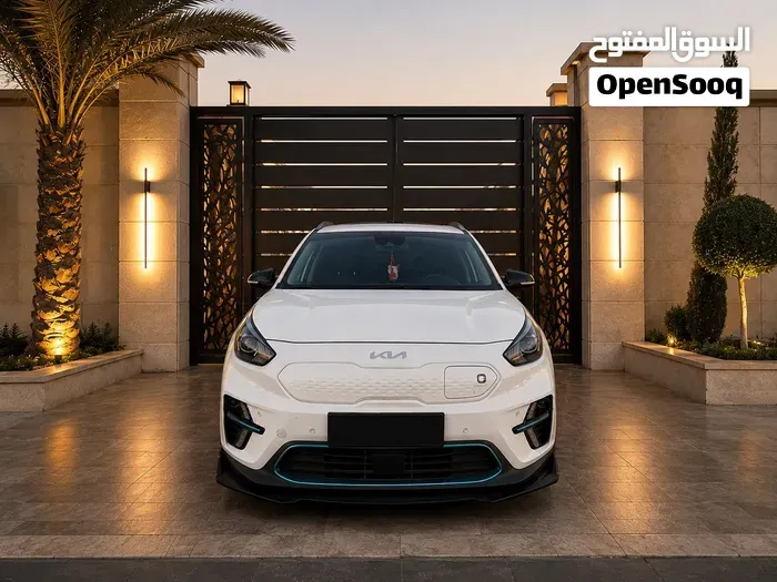 Kia Niro 2020 photo 2