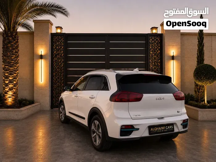 Kia Niro 2020 photo 4
