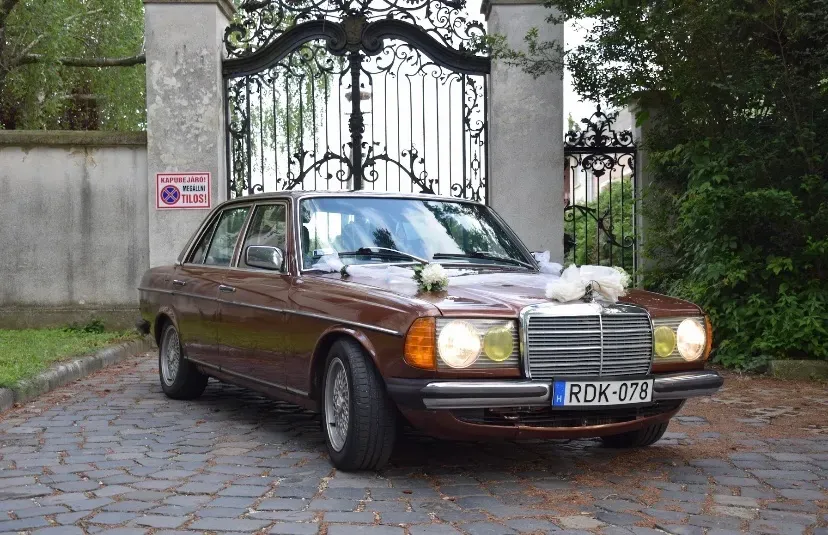 Mercedes-Benz E-Class 1978 photo 2
