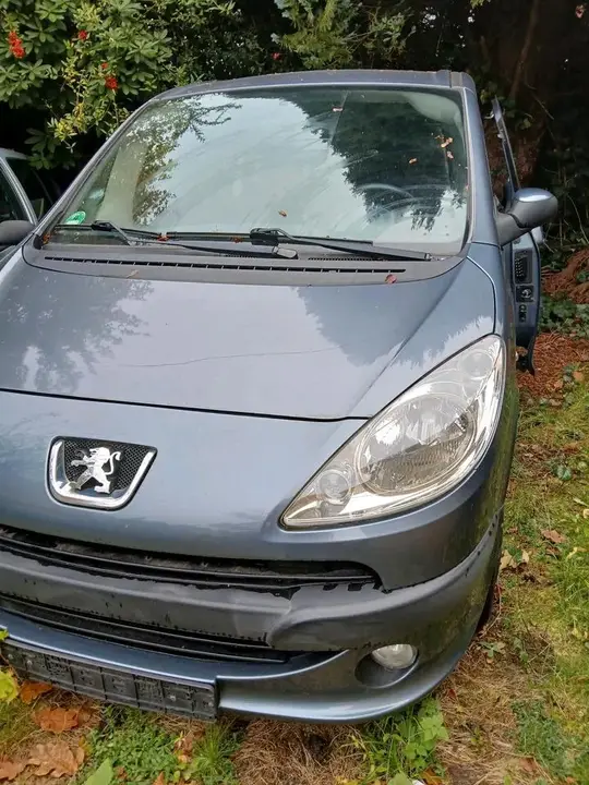 Peugeot 1007