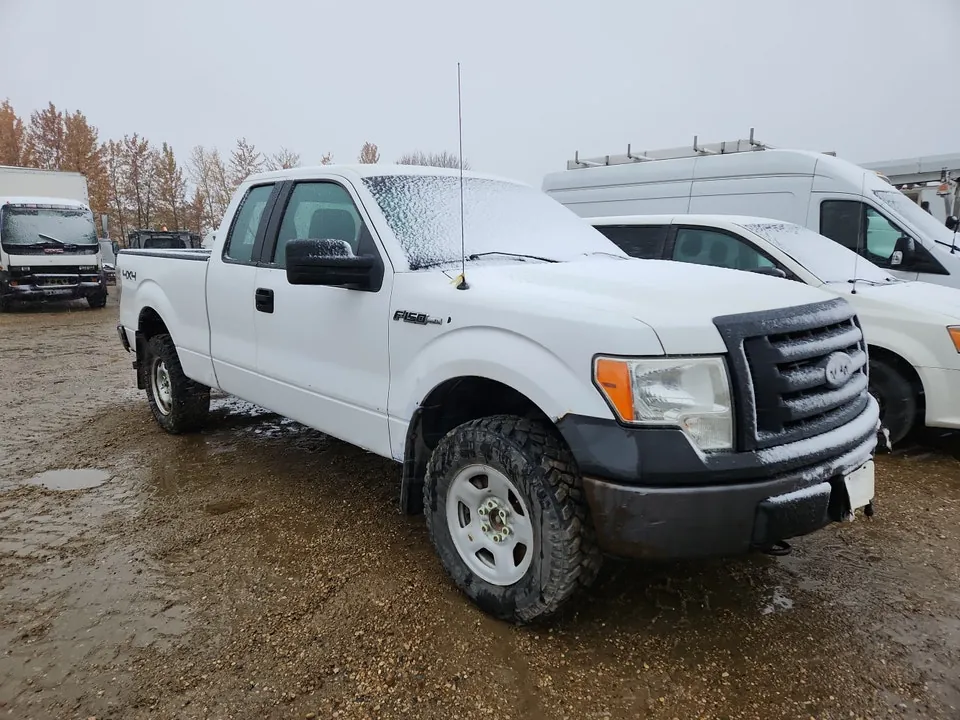 Ford F-150 2010 photo 2