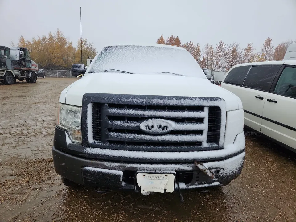 Ford F-150 2010 photo 3