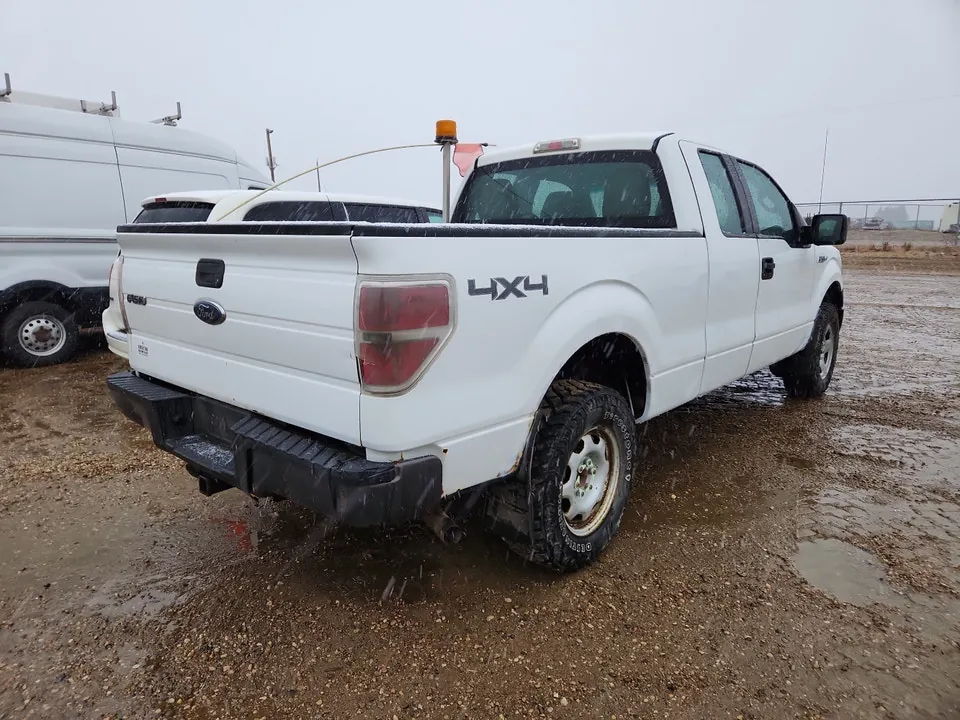 Ford F-150 2010 photo 4