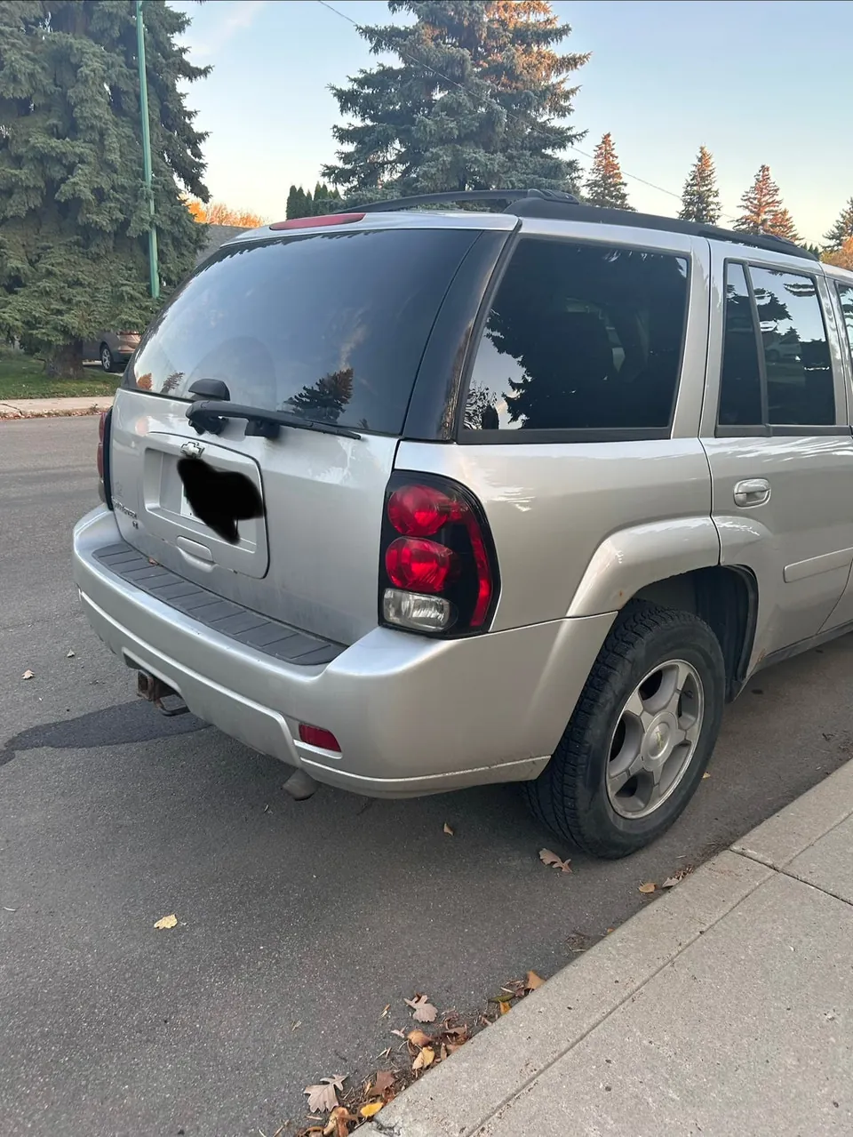 Chevrolet Trailblazer 2008 photo 3