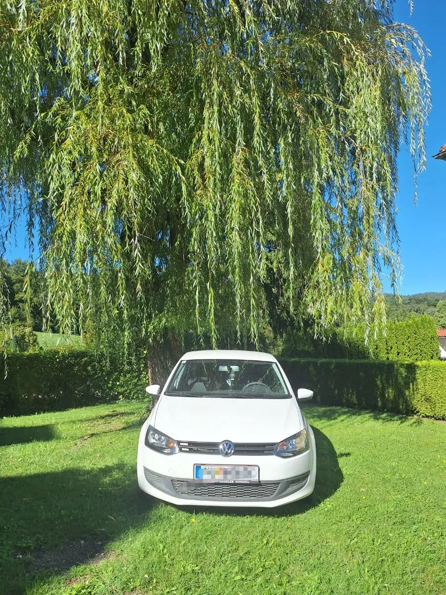 Volkswagen Polo 2012 photo 3