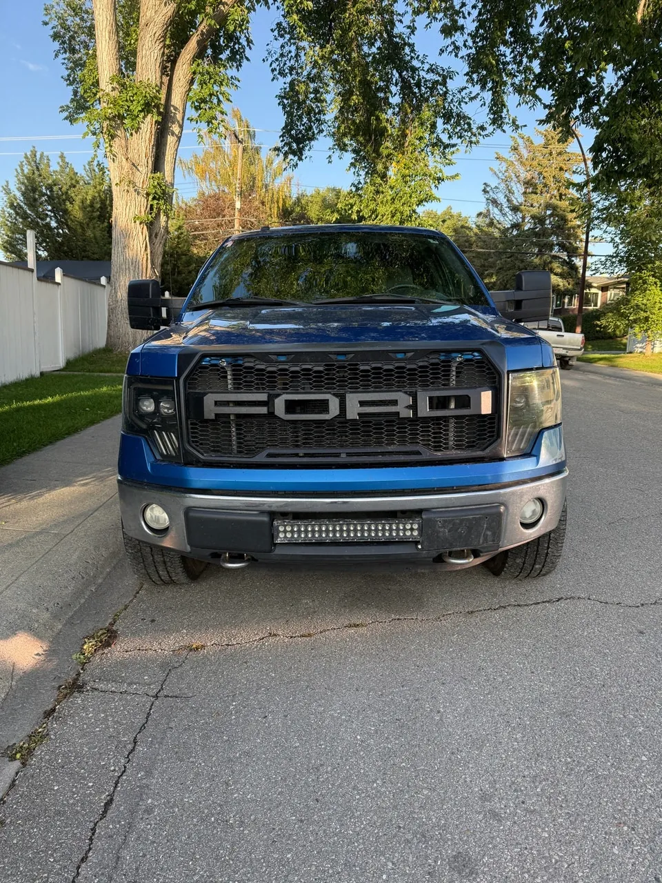 Ford F-150 2010 photo 2
